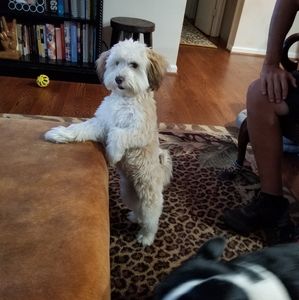 Meet your Posher, Ann